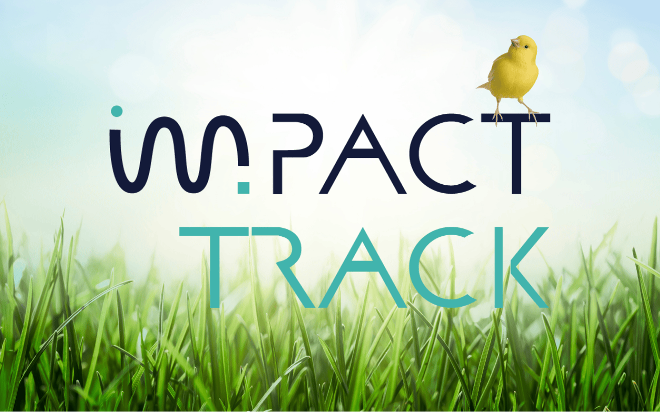 Impact Track voorjaar 2025