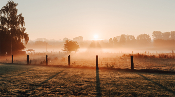 zonsopgang in Gooik