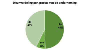 Steunverdeling per grootte van de onderneming